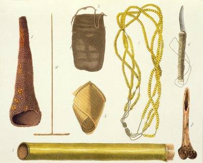 Objects Belonging to the Botocudos by Gallina